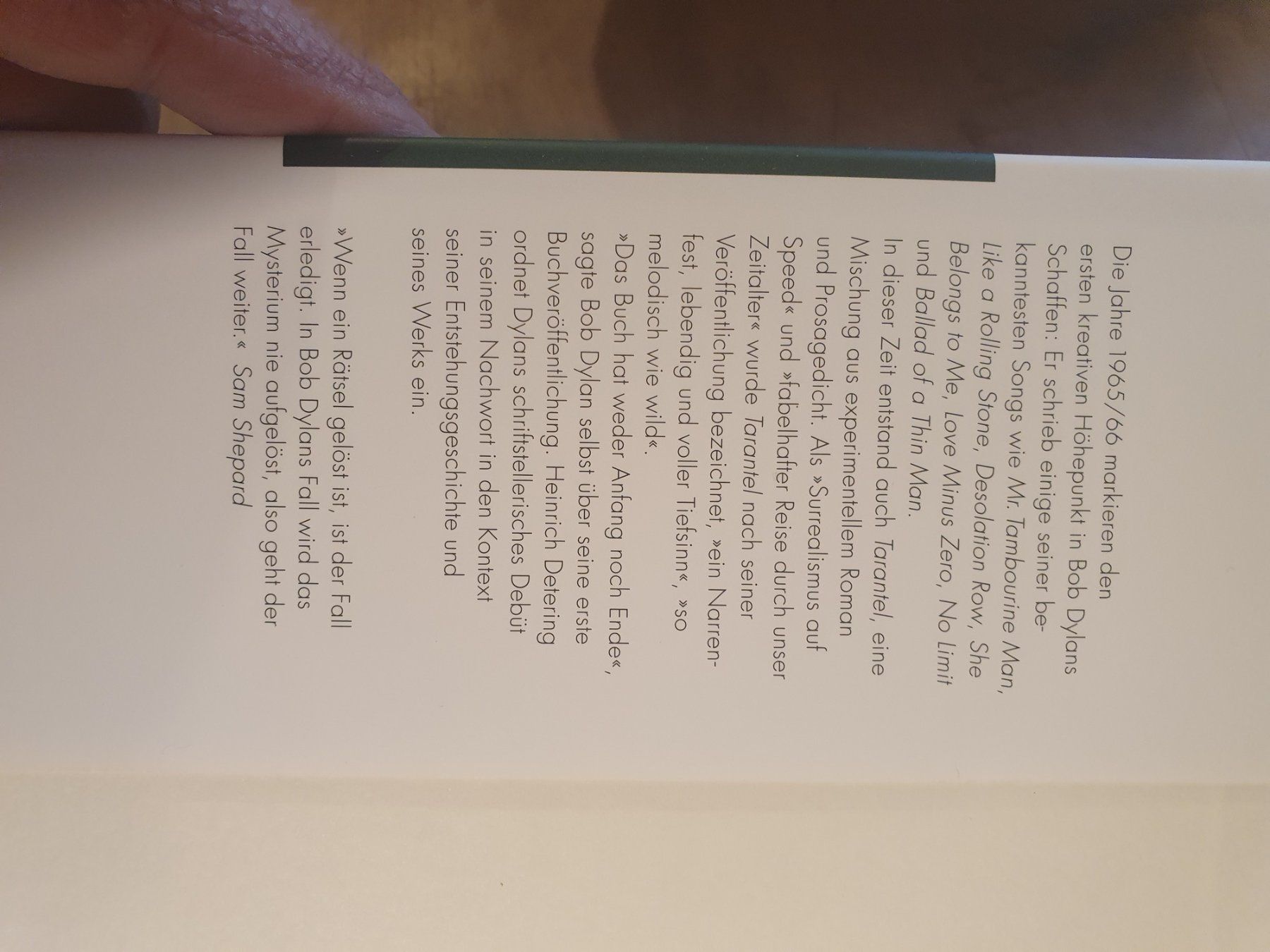 Libri: Bob Dylan - Tarantel Bob Dylan Hoffmann und Campe – Usato da Zürich venduto da loosebone 1
