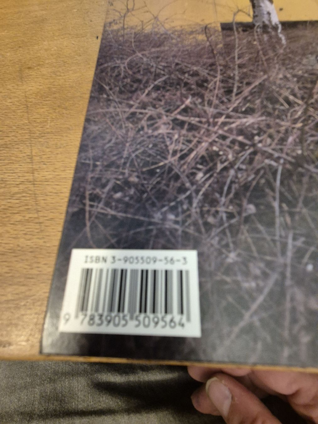 Libri: Buch 1977 Pietro Mattioli – Nuovo (secondo la descrizione) da Thun venduto da Kissthis 2