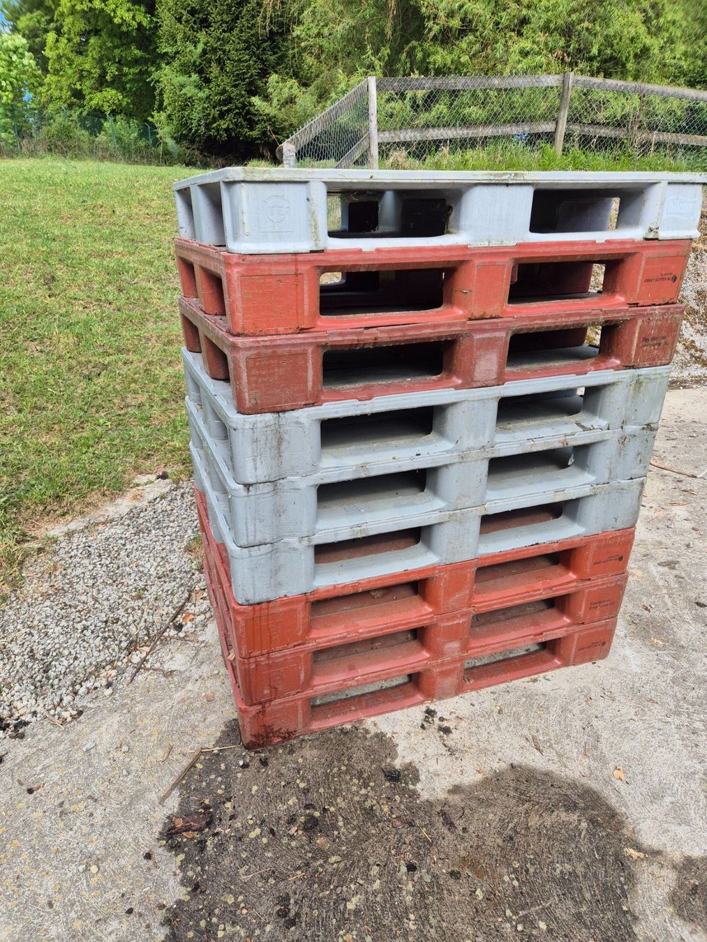 Pallets: Kunststoff-Palett  SBB Palett – Usato da Stein AR venduto da Bienli4 3