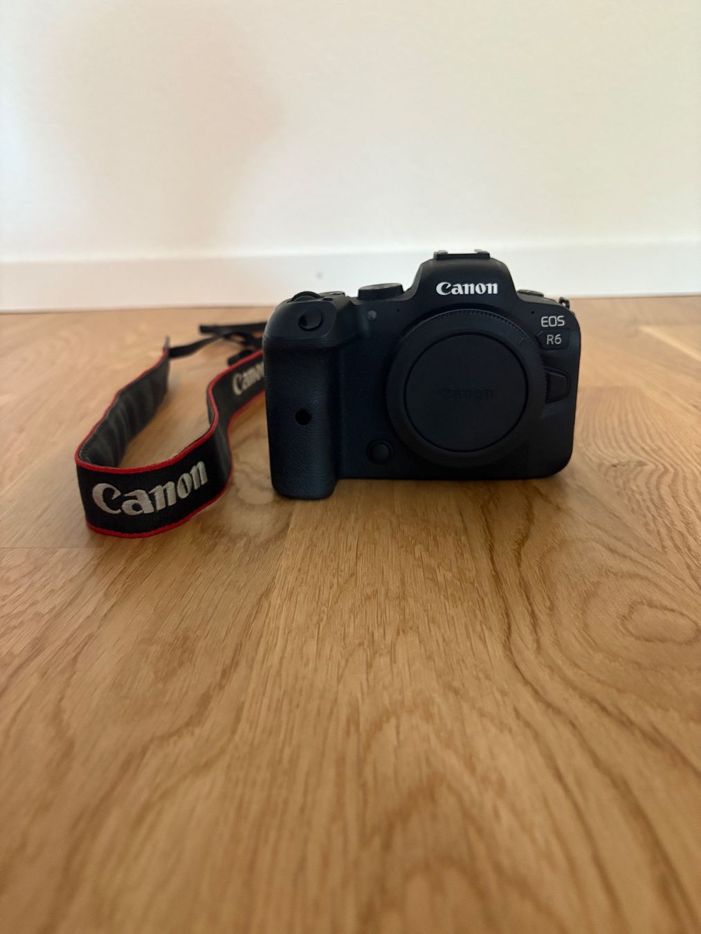 Canon Fotocamera: Canon EOS R6 Body – Usato da Steinhausen venduto da lar_xsq9
