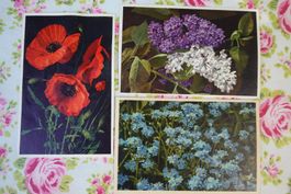 3 alte Postkarten Blumen: Flieder - Mohn - Vergissmeinnicht