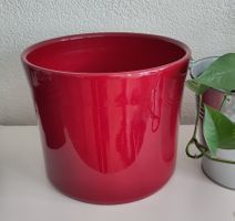 Moderner Roter Übertopf