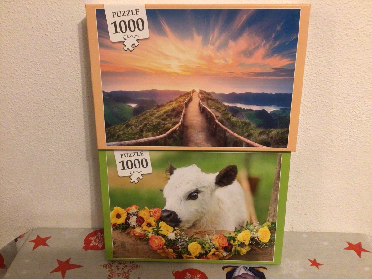 Puzzle: 8 Puzzle – Usato da BIASCA venduto da angela16 1