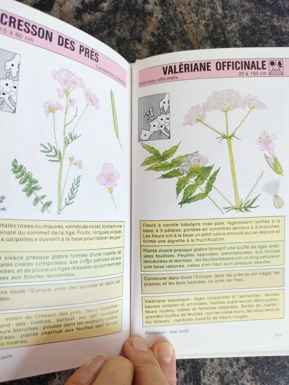 Bücher: Fleurs sauvages Gründ Nature - Poche – Gebraucht aus Cortaillod von rozinna 4