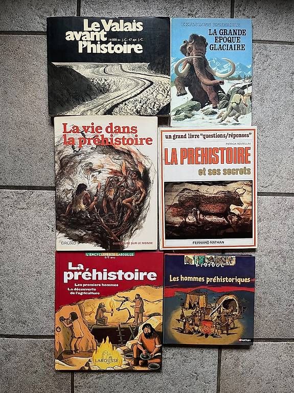 Livres: Divers livres thématiques – D'occasion à Bouveret par zozoh 1