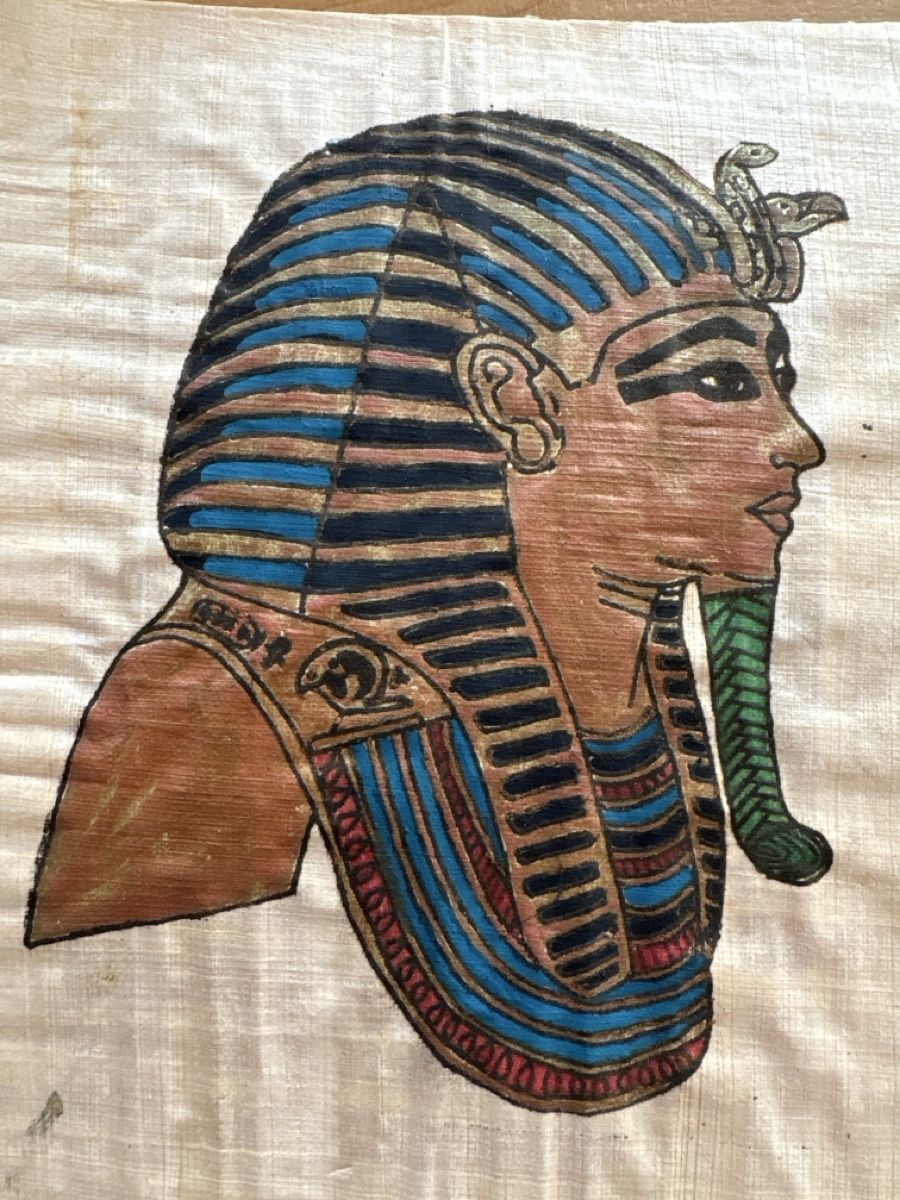 Foto & Immagini: Bild auf Papyris / Egypten – Usato da Rümlang venduto da baselsale1 1