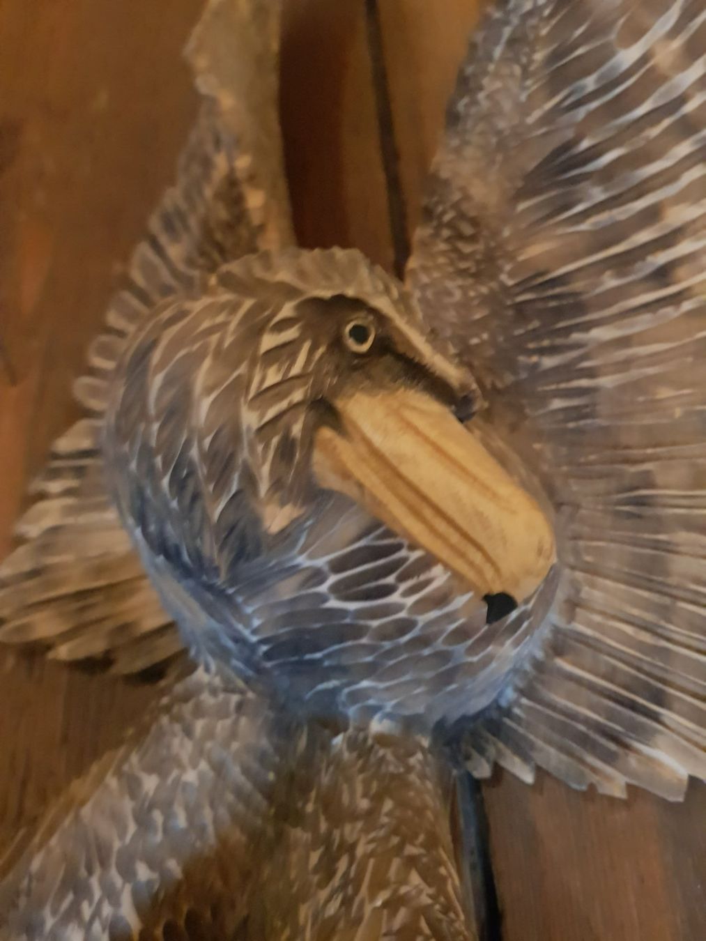 Sculture & Statue: Adler / /Skulptur – Usato da Steg im Tösstal venduto da LARO14 2