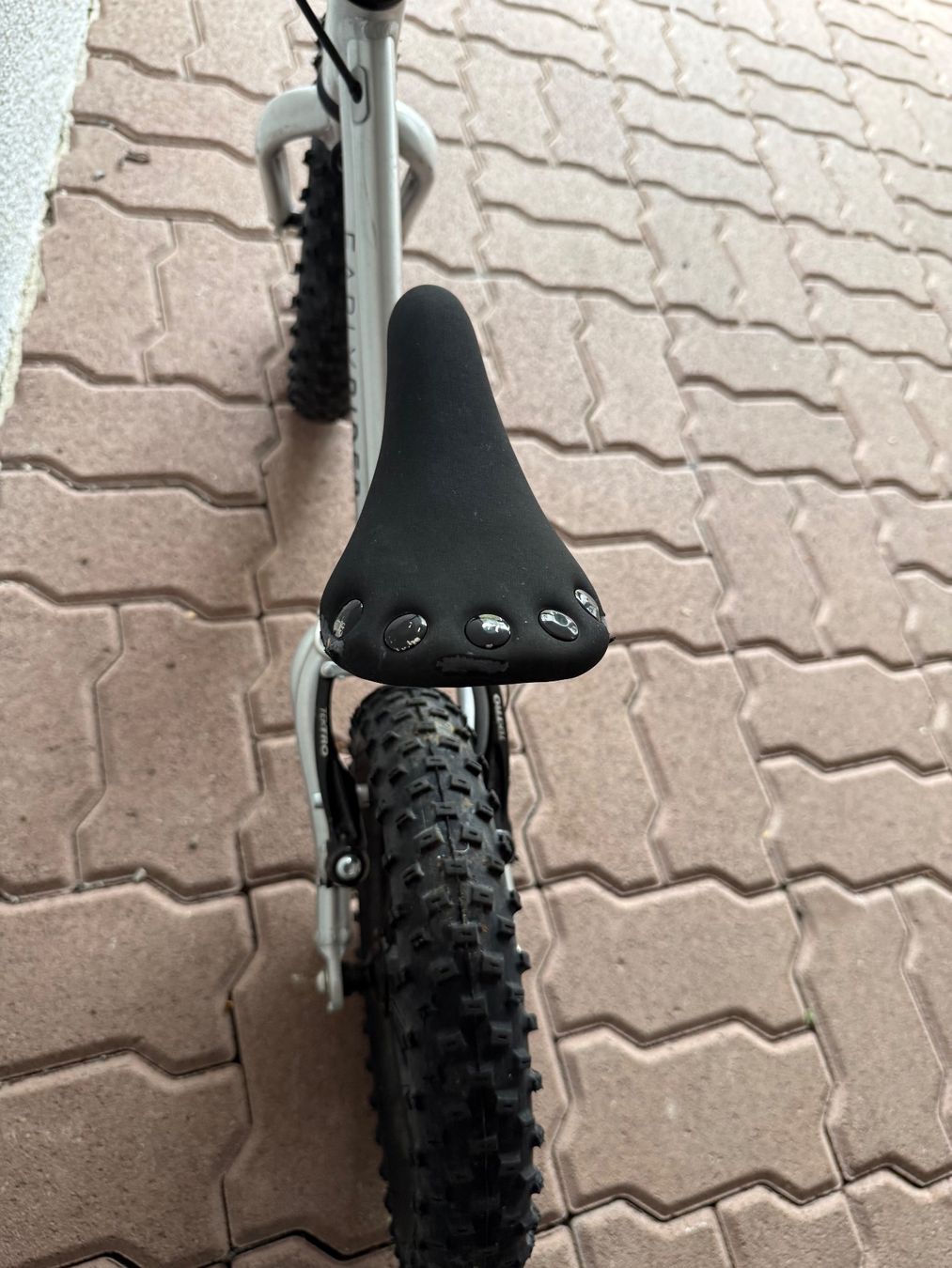 Early Rider Velos: Early Bird Big Foot 12" Laufrad – Gebraucht aus Horgen von mle_9ggq 3