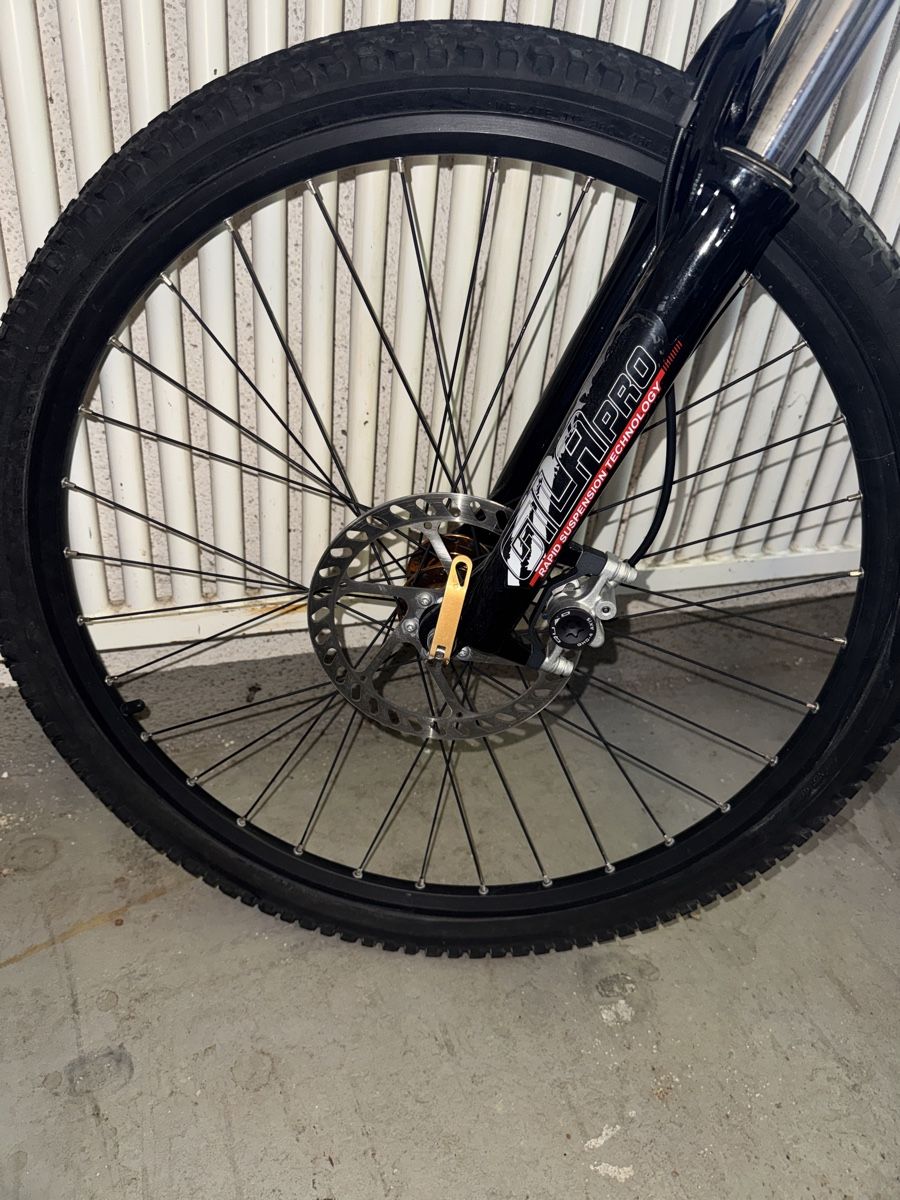 Wheeler Biciclette: Mountainbike Wheeler  – Usato da Zürich venduto da Naniiin 2