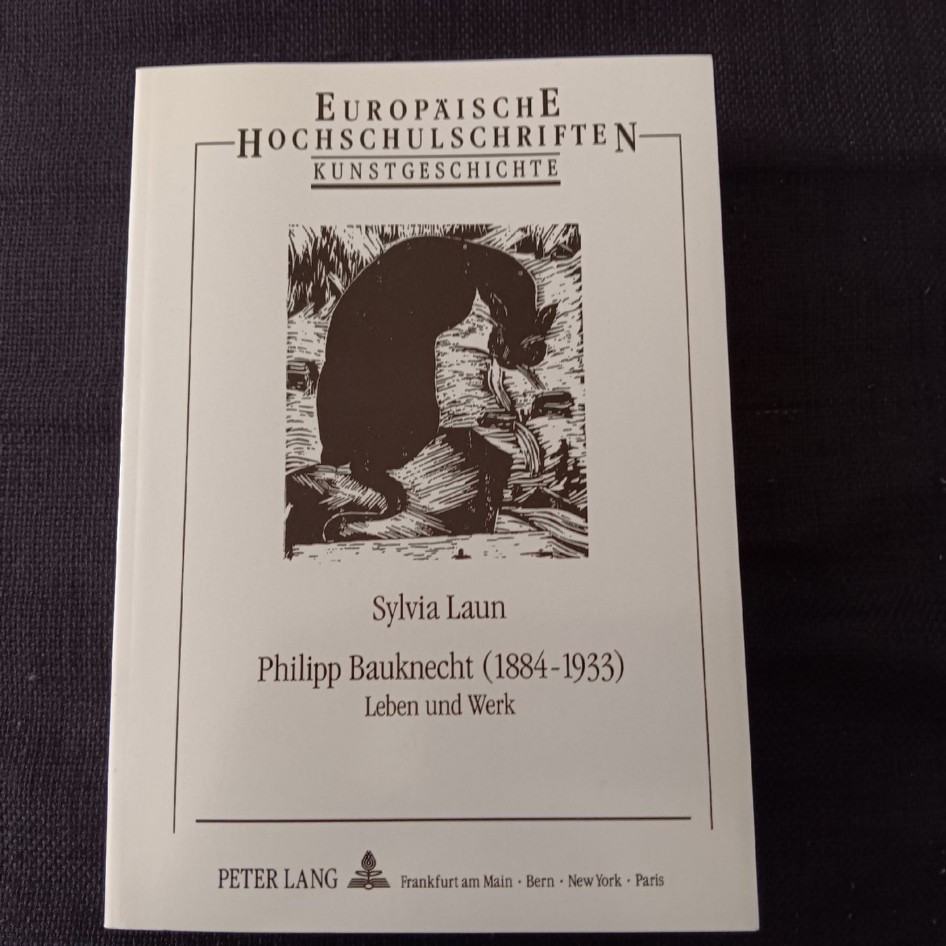 Libri: Sylvia Laun Buch Philipp Bauknecht – Usato da Chur venduto da chr_b2cn
