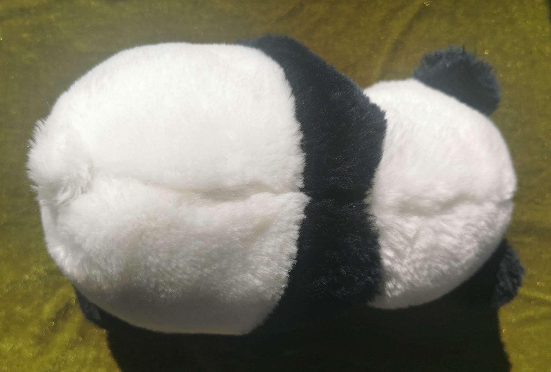 Spielzeuge: Panda mit Knopfaugen – Gebraucht aus Wettingen von Biitel 2