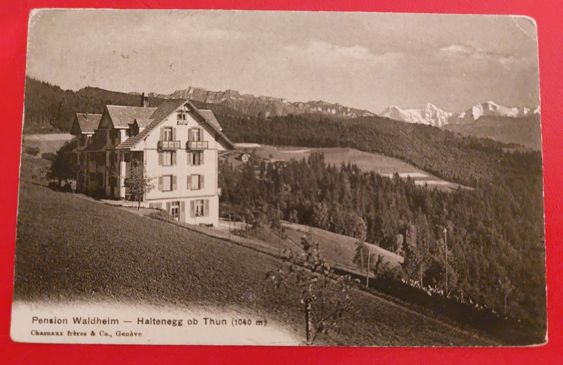 Ansichtskarten: Pension Waldheim - Haltenegg ob Thun 1913 – Gebraucht aus St-Légier-La Chiésaz von Theo005