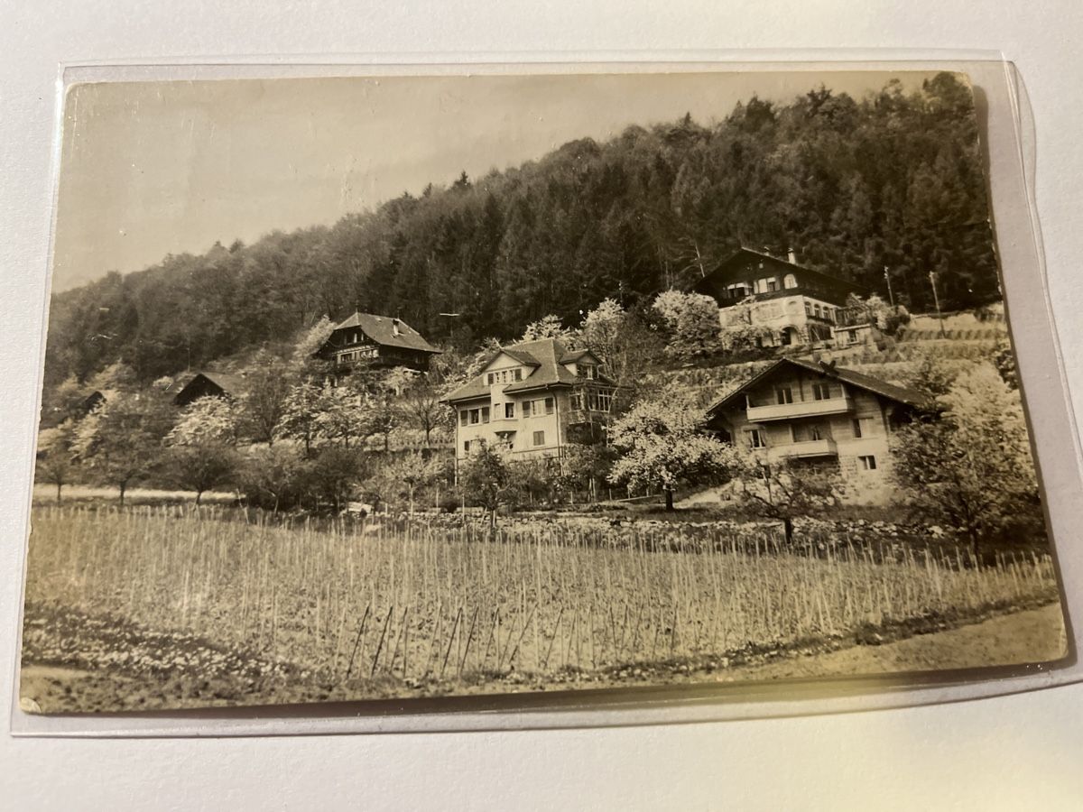 Cartes postales: Spiez Oberland – D'occasion à scharnachtal par Riso500
