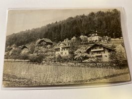 Spiez Oberland