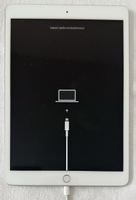iPad 7. Gen. Wi-Fi 128GB Silber, Model A2197, defekt