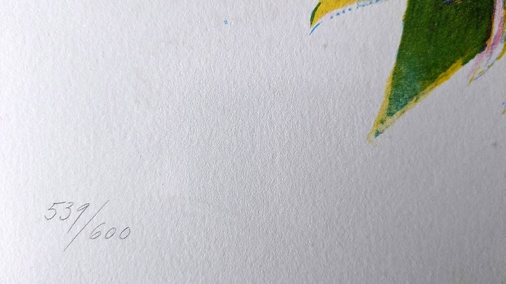 Grafiken & Lithographien: Originallithographie "Sonne - Lebenskraft der Natur". – Gebraucht aus Langnau am Albis von theeschners 2
