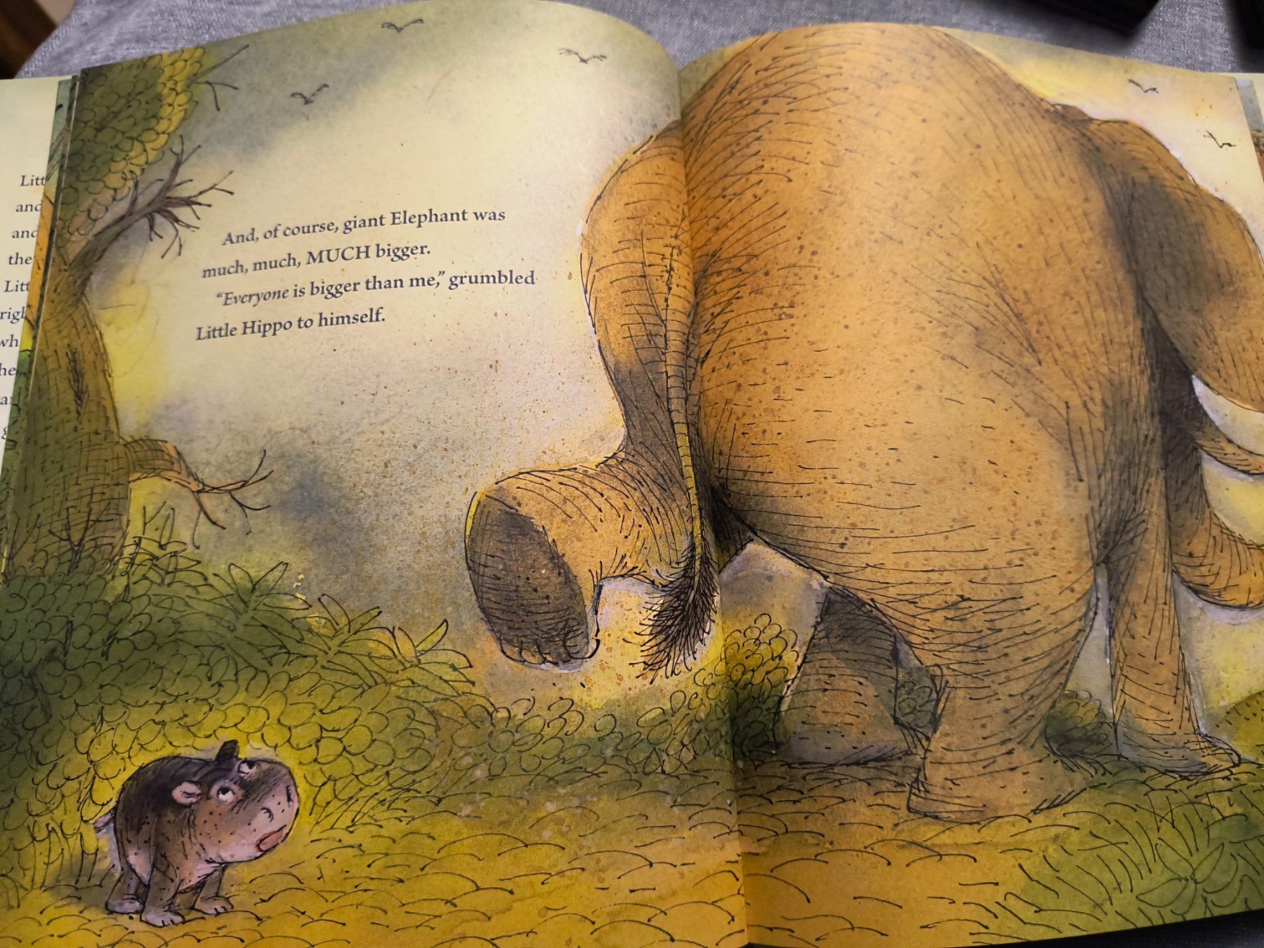 Libri: BIG LITTLE HIPPO Kinderbuch englischer Sprache – Usato da Schöfflisdorf venduto da kin_2dp9 3
