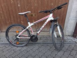 Ghost MTB Service Nötig!!
