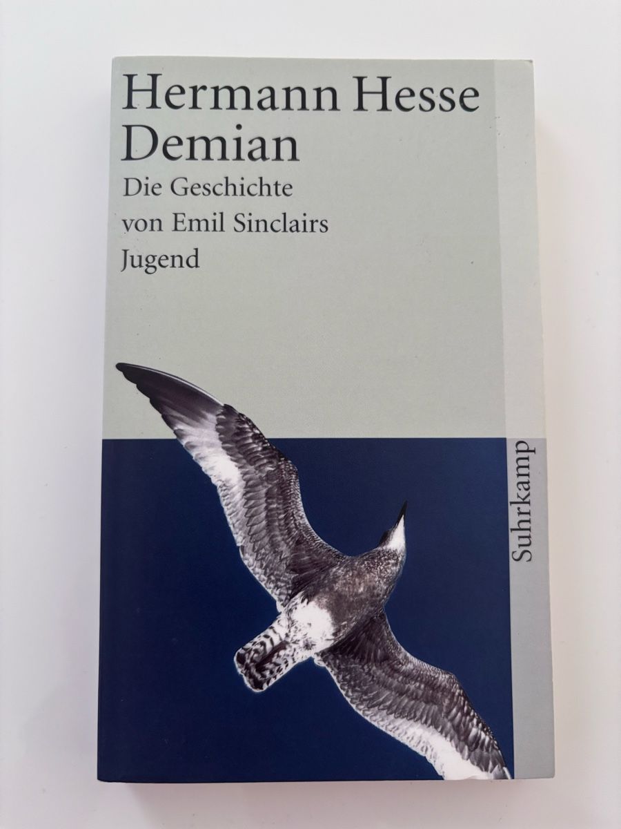 Sonstige Kleidung & Accessoires: Hermann Hesse: Demian – Gebraucht aus St. Gallen von Rindi66