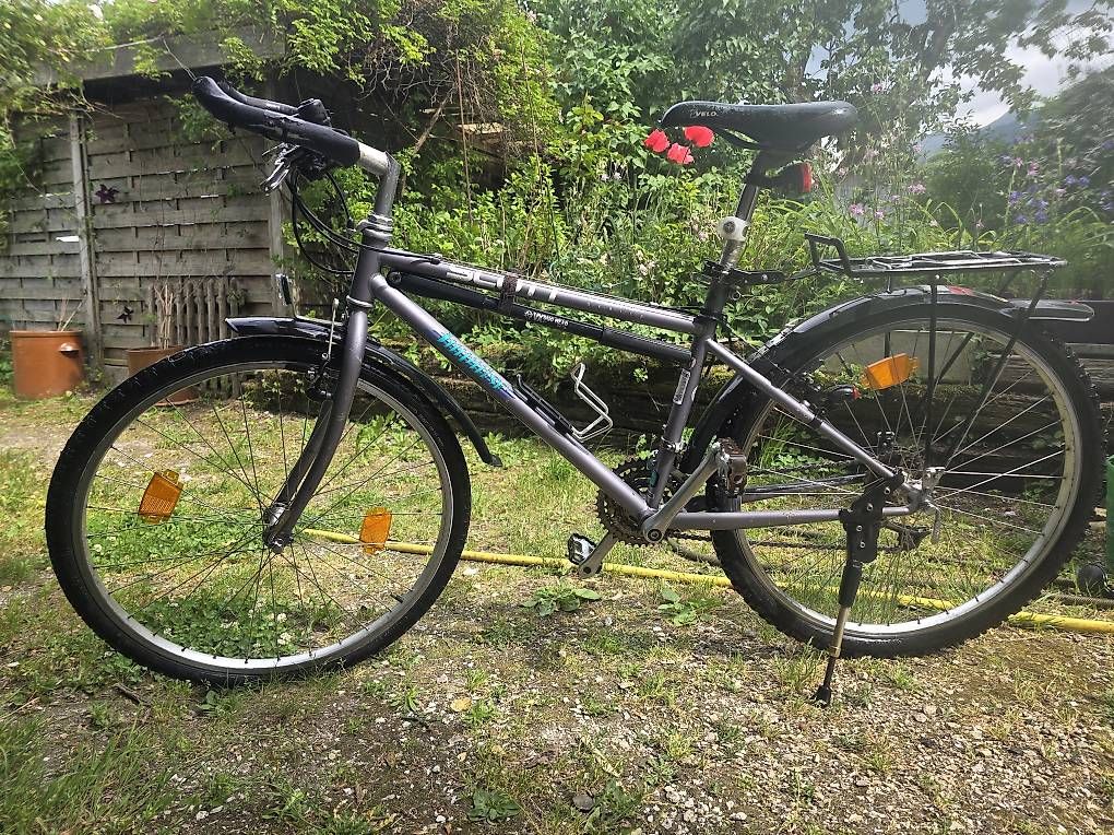 Velos: Zuverlässiges Scott Retro-Velo , Gr. 48cm – Gebraucht aus Blumenstein von Party18 4