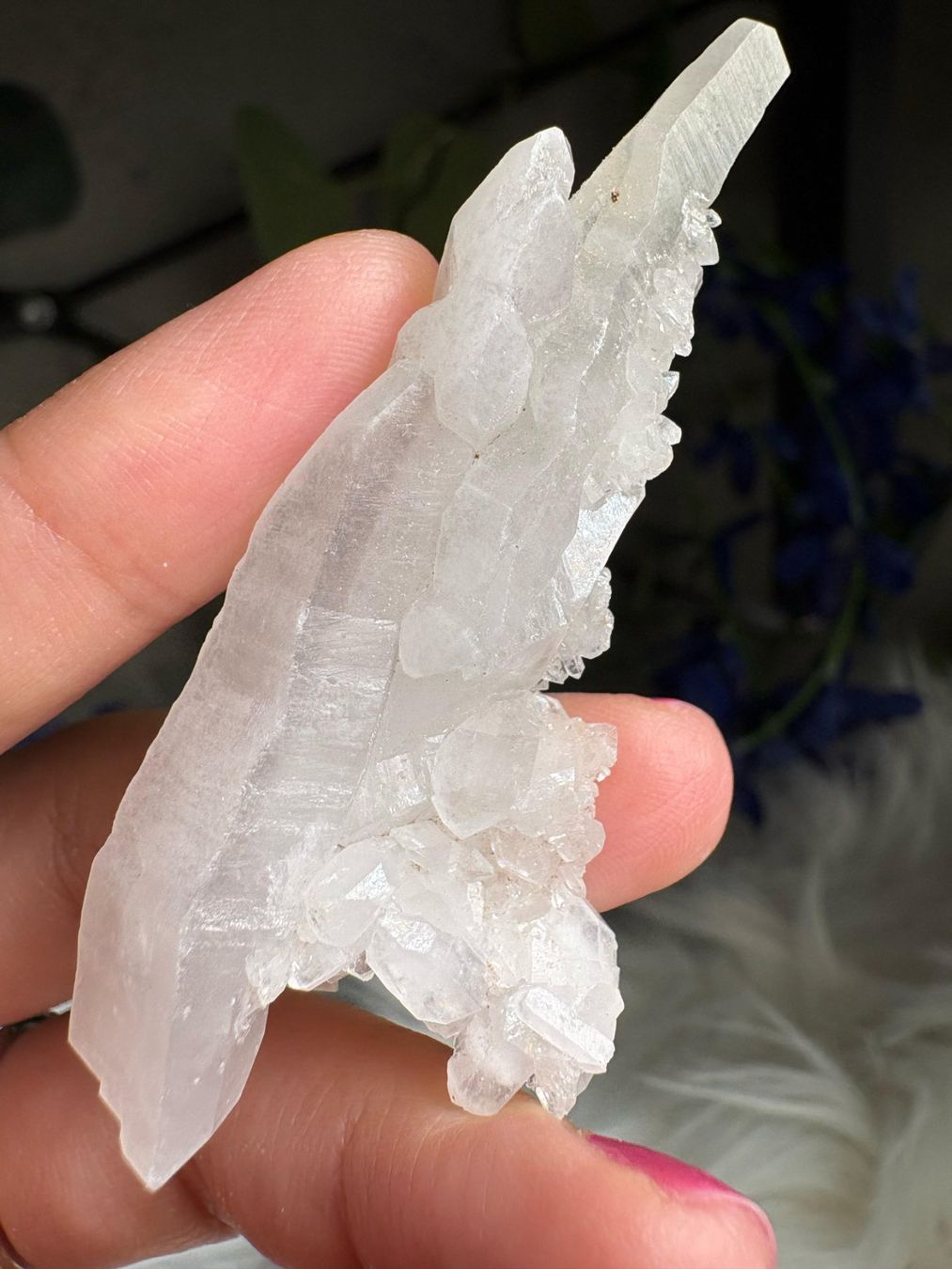 Minerali & Pietre curative: Kolumbianischer Lemurian-Quarz-Cluster – Nuovo (secondo la descrizione) da Neuheim venduto da m.hald 3