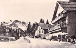 Brünig // Brünig Kulm Pass // Sommer