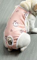 Hunde Höschen XL