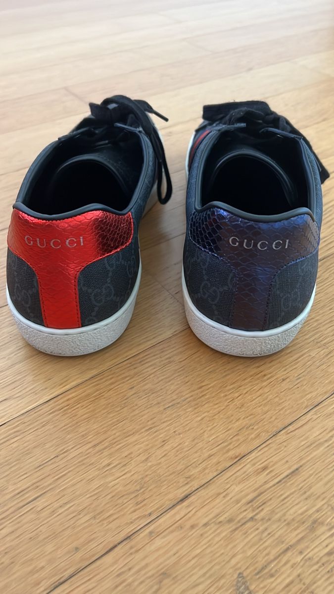 Gucci Chaussures hommes: Original Gucci Sneaker mit Web – D'occasion à Herrliberg par JPDB 1