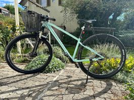 Rockrider Mountainbike 29 Zoll