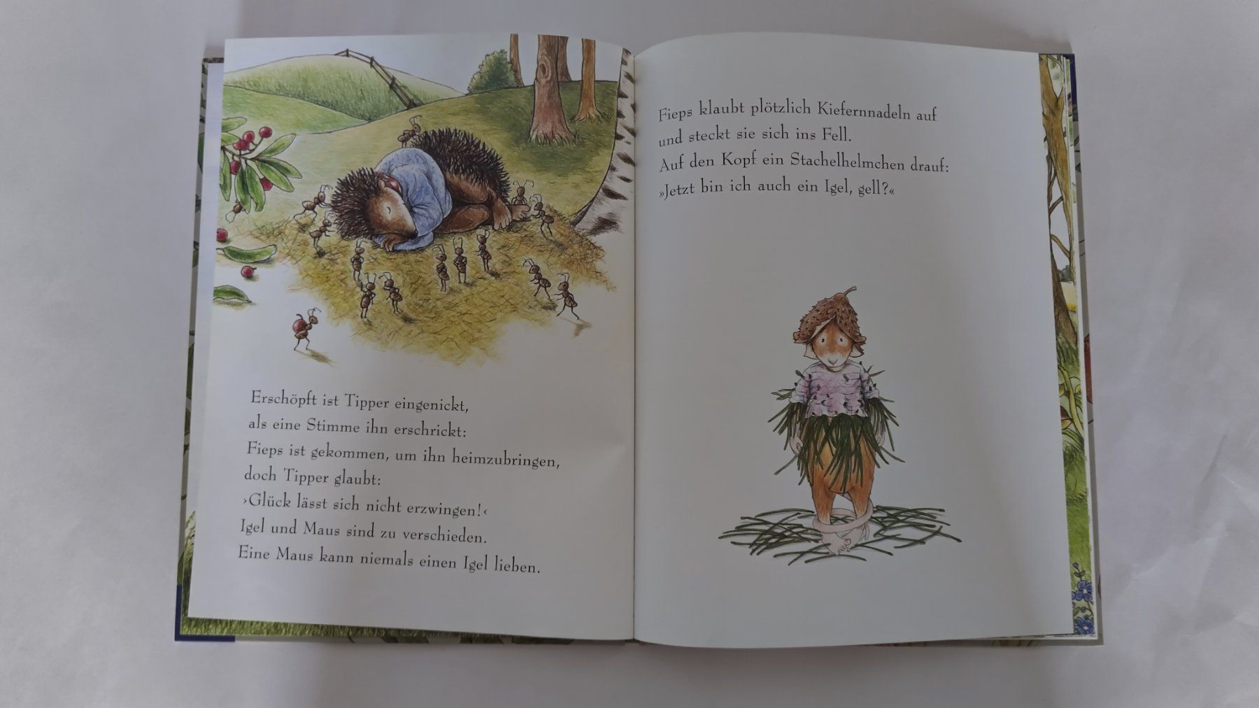 Libri: Wo bist du? / Bilderbuch 2004 ab Fr. 8.- / 2 Anfänge – Usato da Bellach venduto da JingleJerry 9