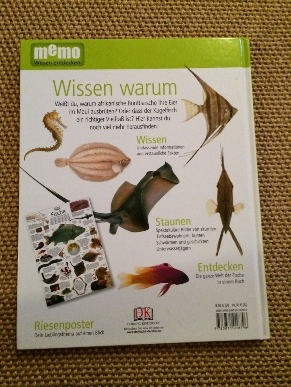 Bücher: Memo Wissen entdecken. FISCHE – Gebraucht aus Buchs AG von ReaNaTsch 1