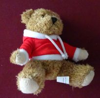 Teddy mit rot-weissem Hoody