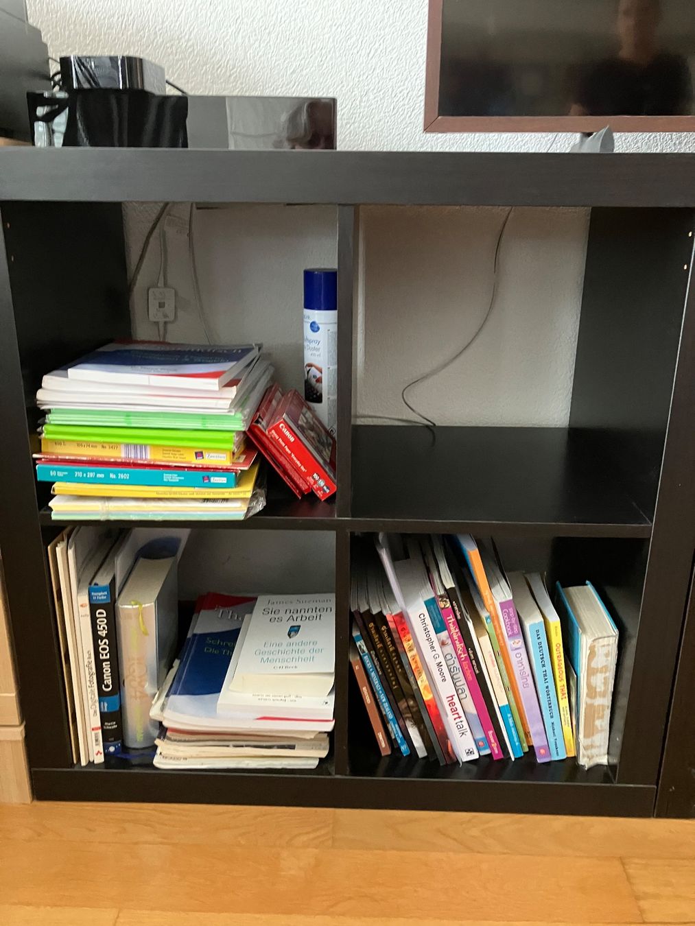 Scaffali: IKEA Regal Kallax 2 mal 2 Fächer – Usato da Winterthur venduto da Seepferdchen63