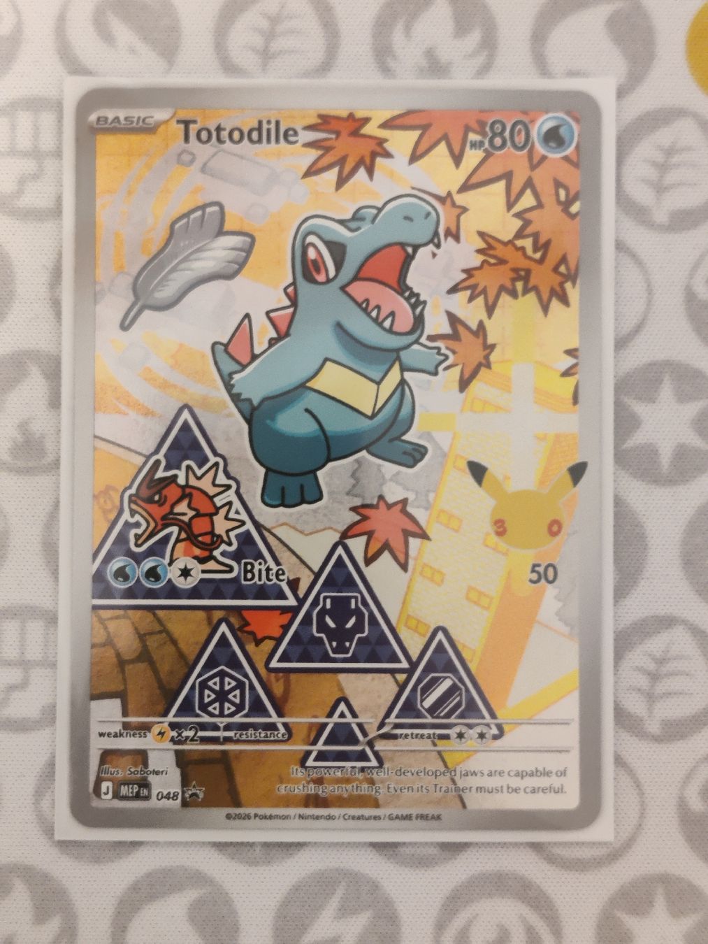 Pokémon Carte collezionabili: #3 Pokémon Starter Johto EN – Nuovo (secondo la descrizione) da Steffisburg venduto da HMStufi 1