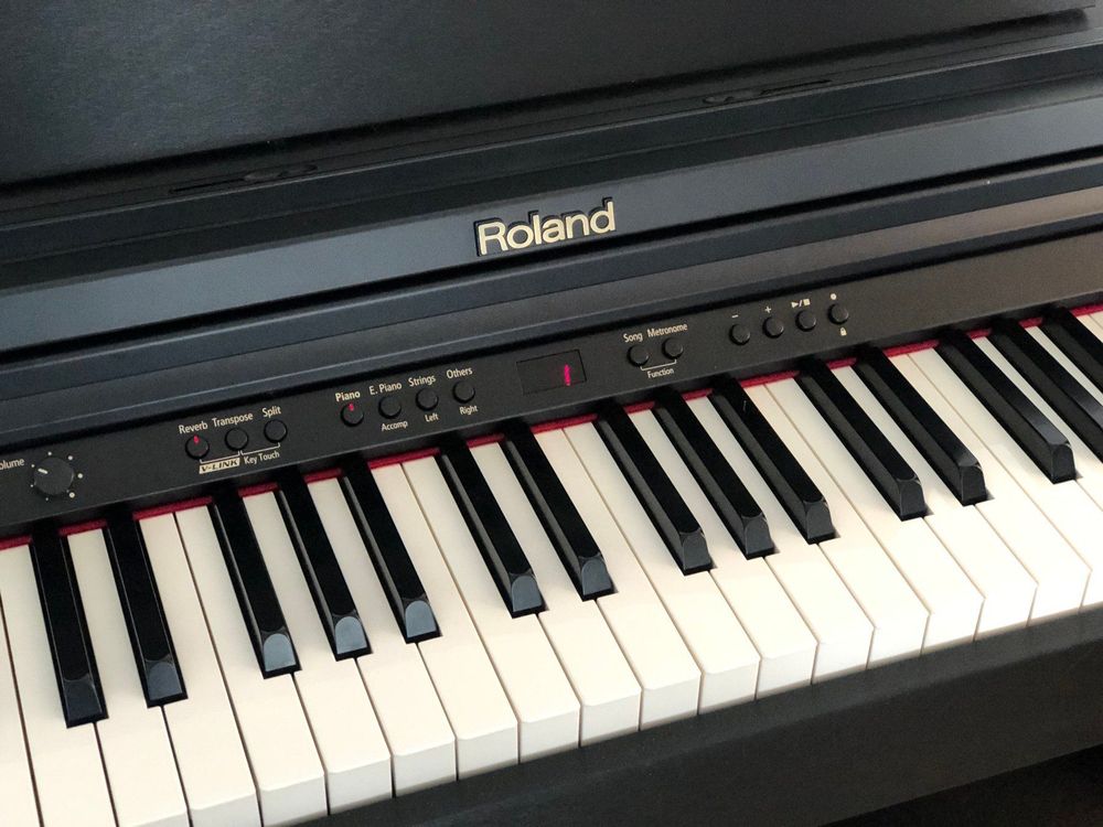 Roland - RP-201