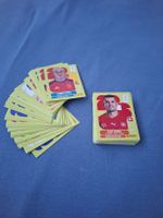 100 verschiedene Paninibilder WM 26