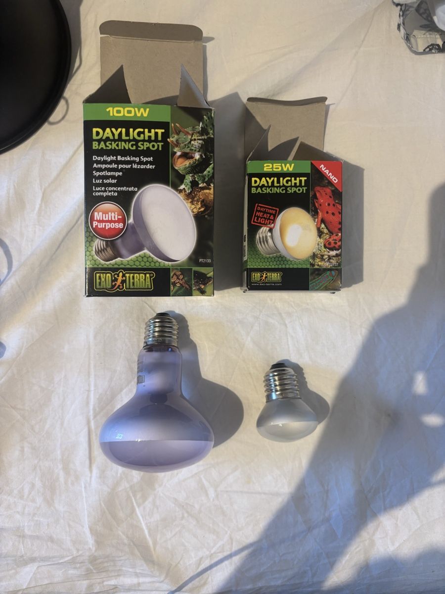 Exo terra Lampade: Lampe et ampoules pour terrarium – Nuovo (secondo la descrizione) da Le Grand-Saconnex venduto da pat_9wgt 3