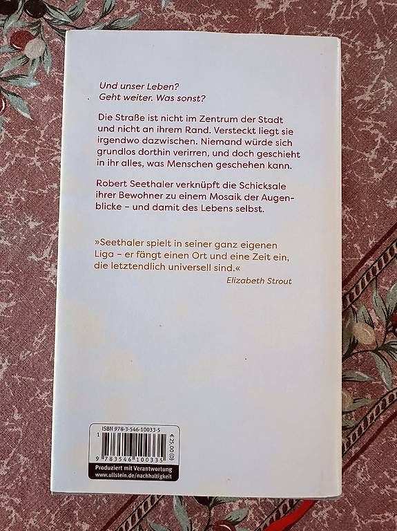 Libri: Robert Seethaler: Die Strasse Roman, gut erhalten, Frühli... – Usato da Kienberg venduto da Hotzenwaelder1984 1