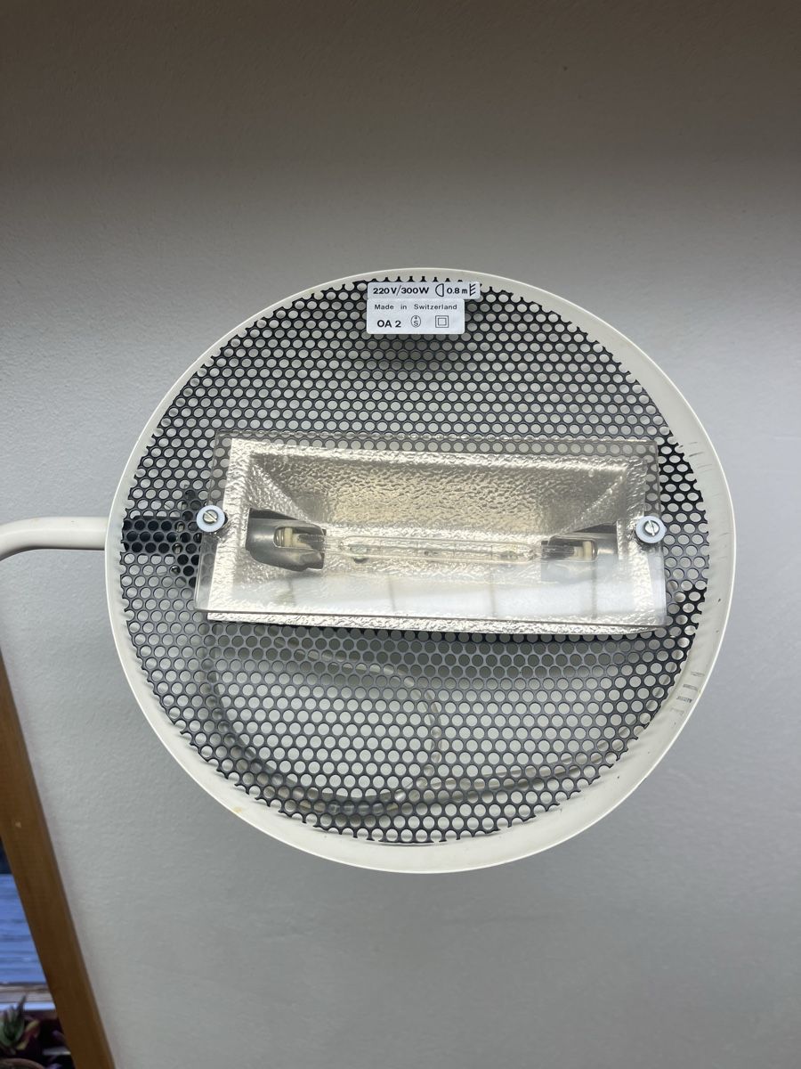 Lampade: Weisse Halogen Stehlampe, dimmbar - Top Zustand! – Usato da Fideris venduto da andri_m 2