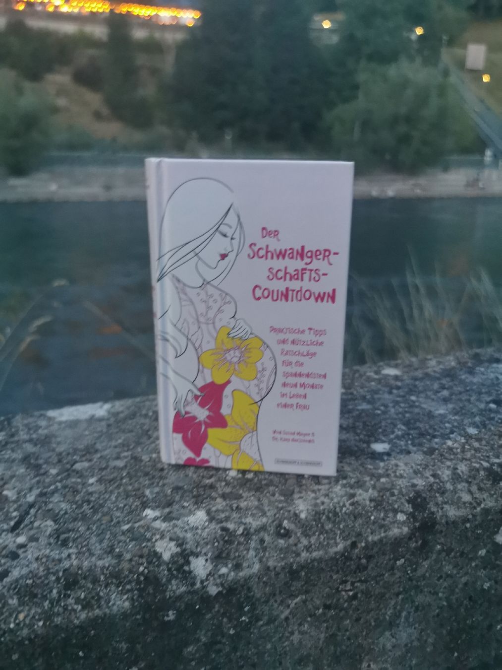 Livres: Schwangerschafts-Countdown – Neuf (Voir description) à Bern par cam_b7ts