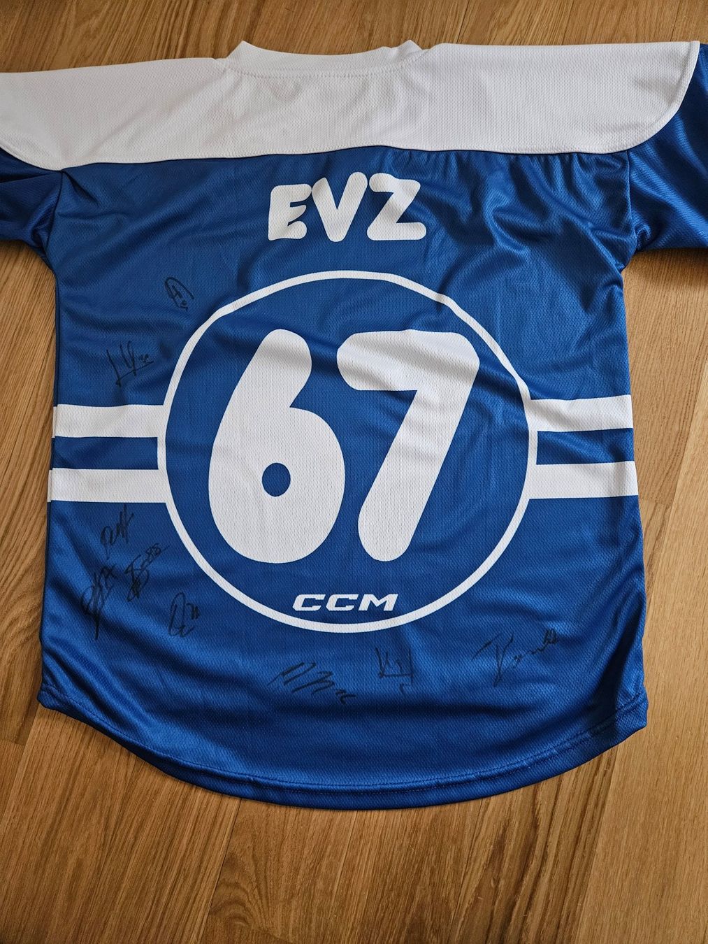 T-shirt: EVZ Fanshirt XS – Usato da Hünenberg venduto da lexli06 1