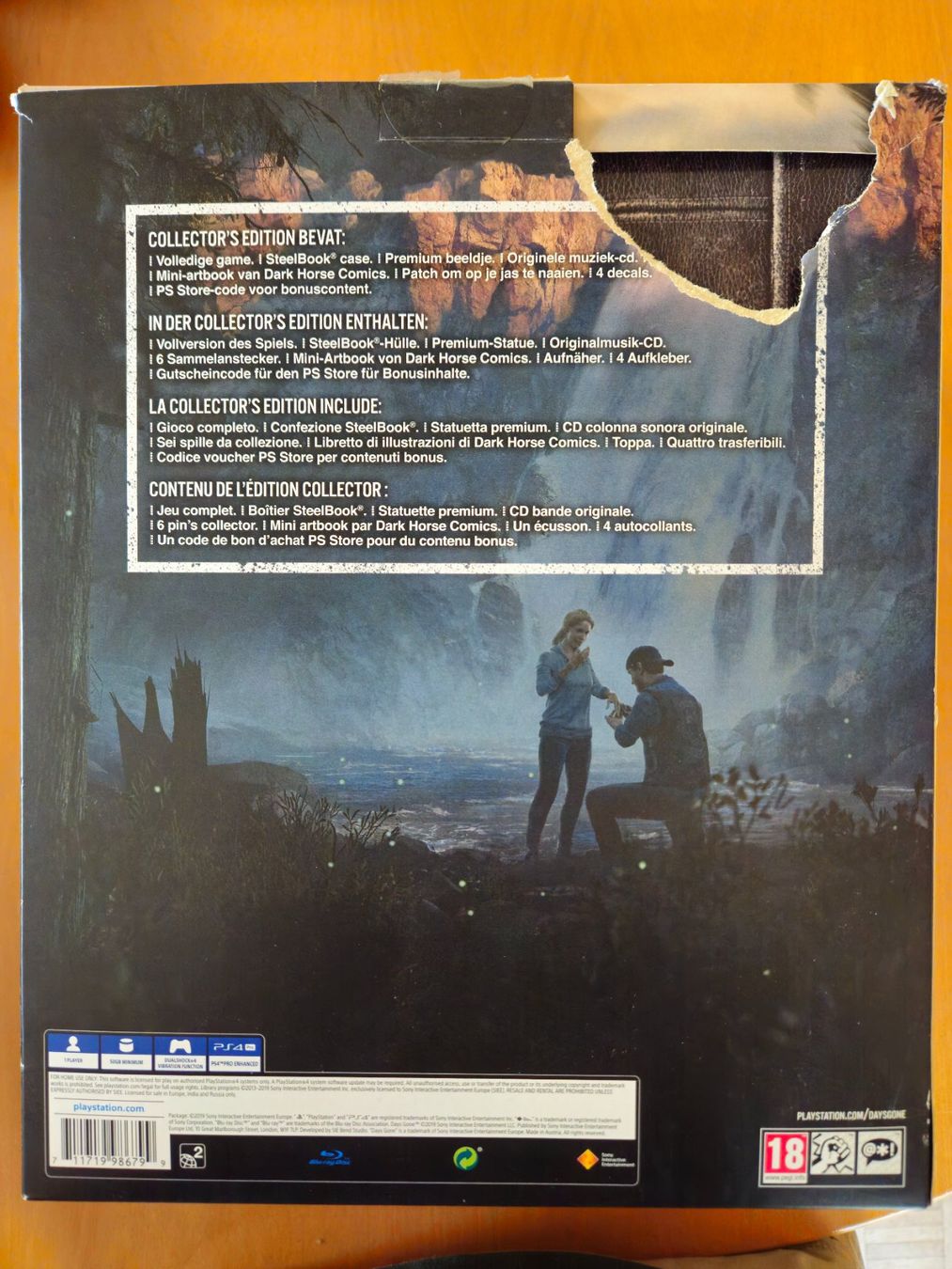 Giochi: PS4 - Days Gone: Collector's Edition – Usato da Kandergrund venduto da BSD83 1