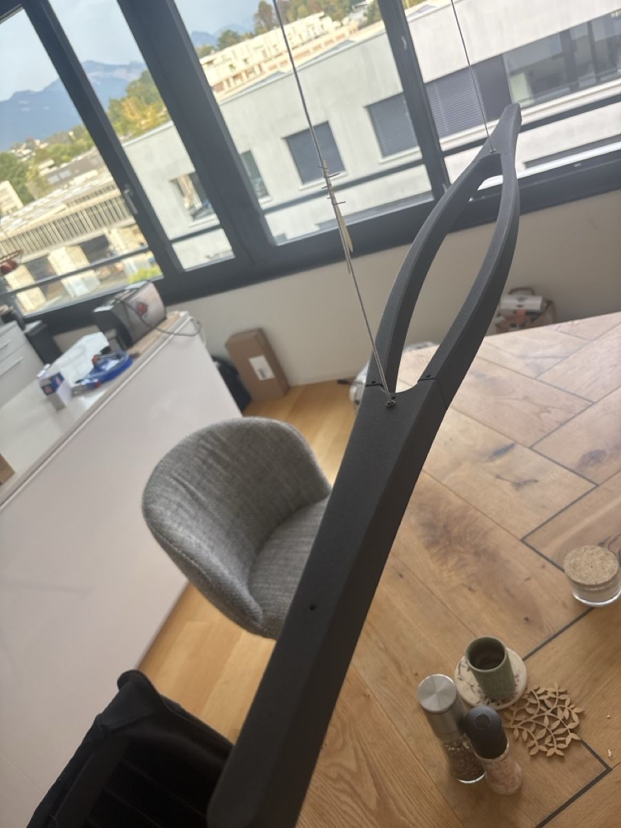 Philips Kronleuchter & Deckenlampen: Philips Hängelampe – Gebraucht aus Luzern von Macro7 2