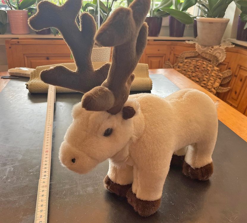 1 Plüsch Rentier 