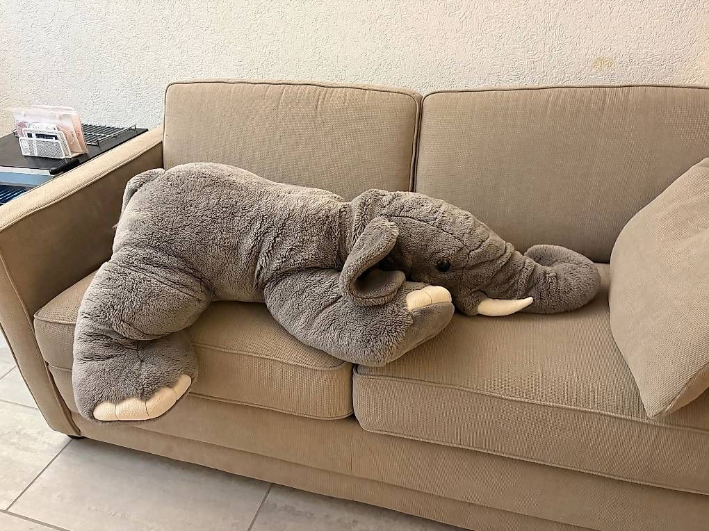 Spielzeuge: Grande peluche Eléphant – Gebraucht aus Bernex von isa_z77j