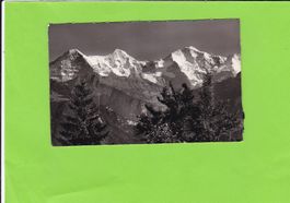 Blick von Beatenberg--E. Gyger