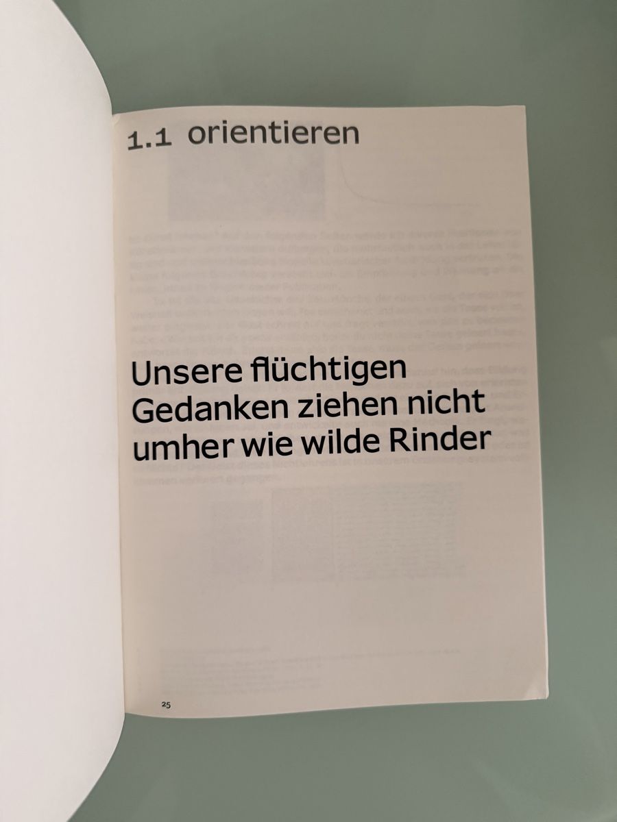Bücher: Peter Radelfinger So wohl als ob – Gebraucht aus Renens VD von ale_q6bz 1