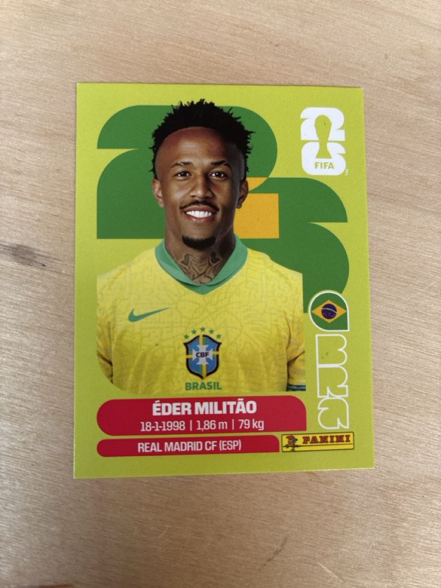 Panini Carte collezionabili: Panini BRA 5 – Usato da Bern venduto da dvg11