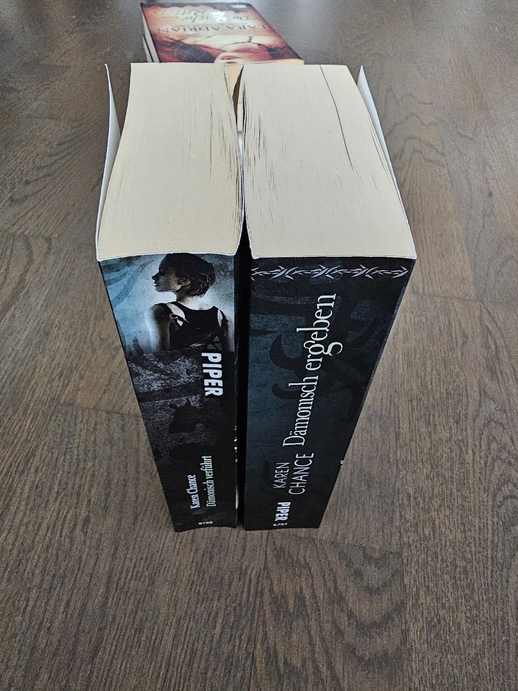 Bücher: Dorina Basarab - Karen Chance – Gebraucht aus Hinterforst von impatiently 2