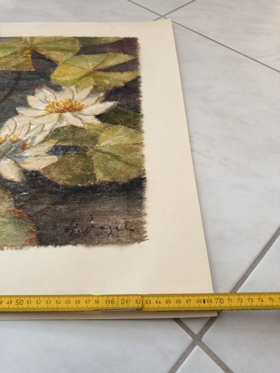 Dipinti: Heinz Vogel, Aquarell, Seerosen. – Usato da Biberist venduto da Momo33 8
